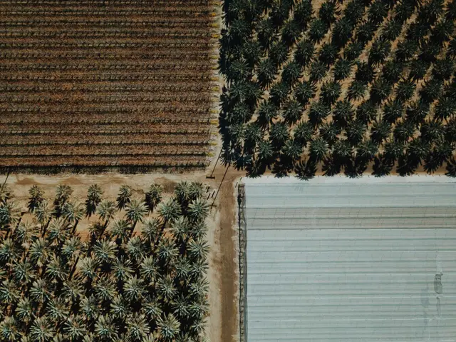 Vue aerienne de parcelles agricoles